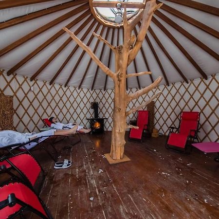 Versant Mont-Sainte-Anne Bagian luar foto